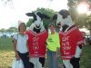 Walk like madd 2011 cows.JPG